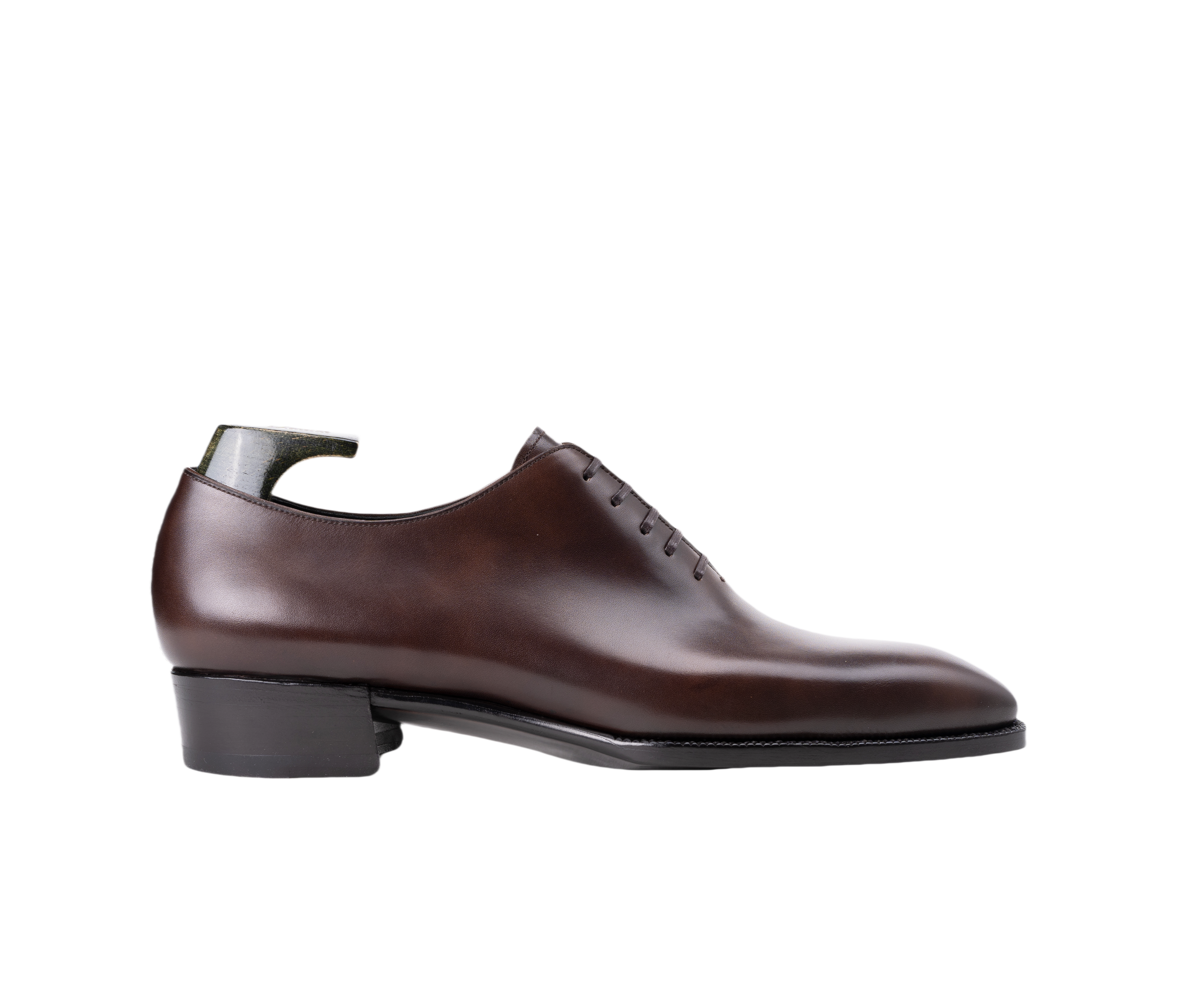 OXF. N519
